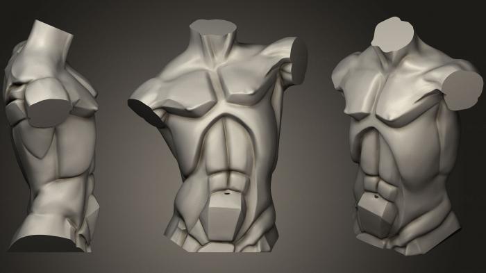 Anatomy of skeletons and skulls (ANTM_0942) 3D model for CNC machine